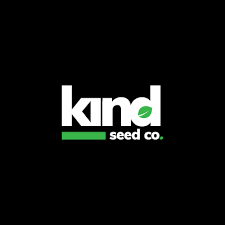 Exploring the Best Sources for Marijuana Seeds Wisconsin Exploring the Best Sources for Marijuana Seeds Wisconsin